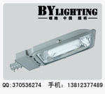 廠家批發(fā)供應(yīng)路燈 低頻無(wú)極燈路燈